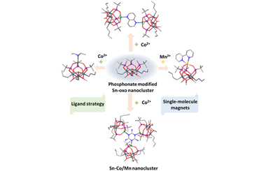 Organooxotin and cobalt/manganese heterometallic nanoclusters exhibiting single-molecule magnetism 2025.100515